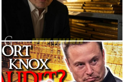 Elon Musk wants to stream a real-time video tour of Fort Knox so Americans can see for themselves if the 4,580 tons of gold is really there.