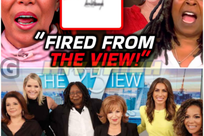 The View Executives FIRED Sunny Hostin & DUMPED $1B In Defamation Lawsuits On Her!