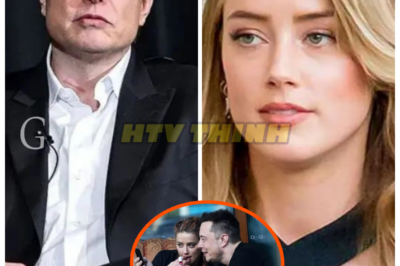 Elon Musk Reflects on Relationship with Amber Heard: A Bitter Reality of Breakups and Financial Settlements