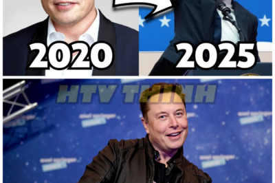 The Pathetic Downfall Of Elon Musk – HTT