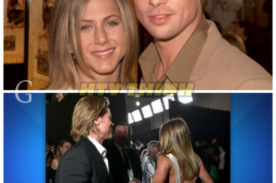 The Real Reason Brad Pitt And Jen Aniston Got Divorced