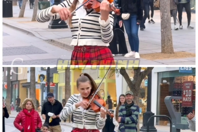 Billie Eilish’s Soul-Sending Lyrics Meet the Elegance of the Violin in Karolina Protsenko’s Unforgettable Cover