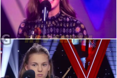 The Shocking Talent Show Moment: A Violinist Transforms Into a Powerhouse Singer and Leaves Judges in Awe