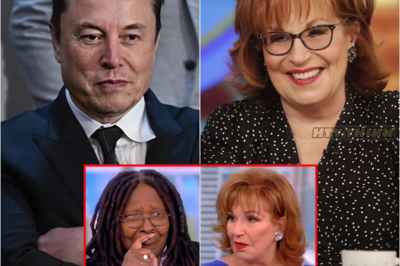 Elon Musk Sparks Feud with The View
