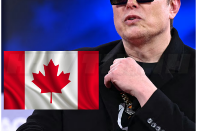 revoke Musk’s citizenship – 545