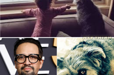 Lin-Manuel Miranda Mourns