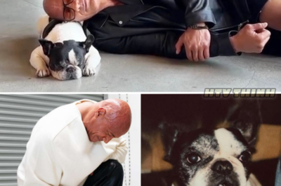 Dwayne “The Rock” Johnson