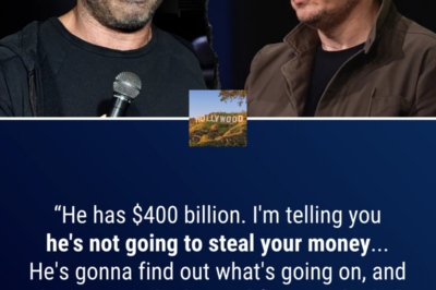 Joe Rogan says ‘nitwits’ in government ‘f—ed up’ by locking horns with Elon Musk