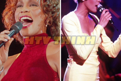 Shockwaves Across the Globe: The Untimely Death of Whitney Houston and Its Unprecedented Impact