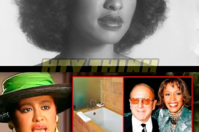Phyllis Hyman Warned Us Of Clive Davis Before Passing