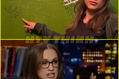 (b00) Fox News’ Kat Timpf reveals gross comments she gets about pregnant belly as sick trolls beg for ‘wildly personal’ info