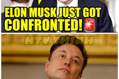 REPUBLICAN Lawmaker STEPS IN As Musk ATTACKS Foreign LEADER – HTT