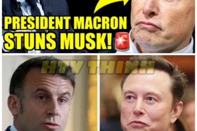 France’s President Just Dropped A BOMBSHELL On Elon Musk! – HTT