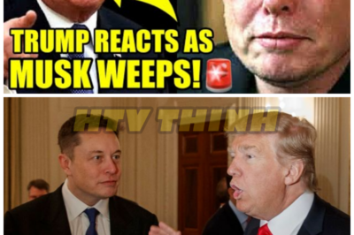 Trump Takes QUICK ACTION After Musk CRIES ON CAMERA – HTT