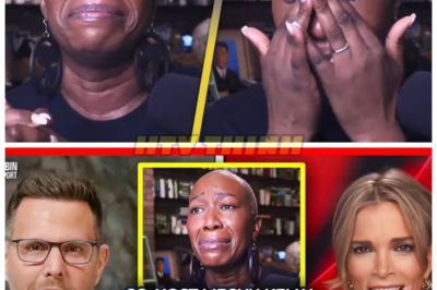 Details About Joy Reid’s Weeping Farewell No One Noticed with Co-Host Megyn Kelly