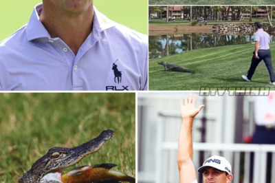 Golfer vs. Alligator