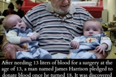 James Harrison: The Real-Life Superhero