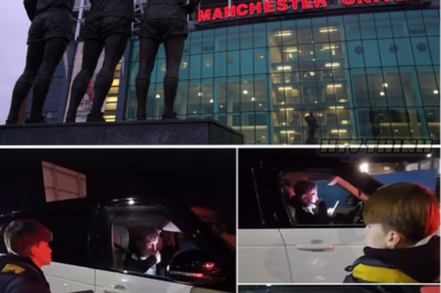 Manchester United Fan