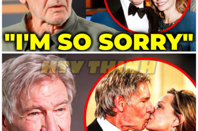 Harrison Ford Finally Confesses the Truth About His Marriage – HTT