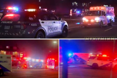 Chaos in Toronto: 12 Injured