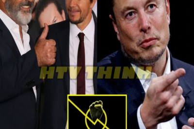 Shocking Partnership: Mel Gibson, Mark Wahlberg, and Elon Musk Invest Up to $3 Billion in ‘Non-Woke’ Film Studio Focused on Family Values