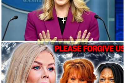 Karoline Leavitt FILES ANOTHER Lawsuit Against ‘The View’ – Hosts Are in FULL PANIC MODE!