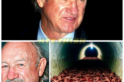 FBI Discovers Secret Tunnel Under Gene Hackman’s Mansion, They Turn Pale When They See Whats Inside