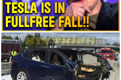 Tesla’s BIGGEST CRASH Yet – And Why It’s About to Get WORSE! – HTT