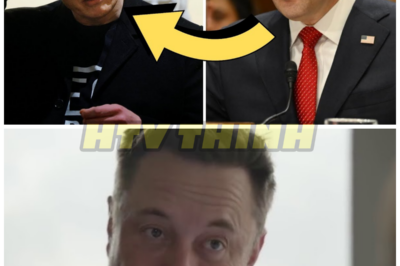 Anger EXPLODES at Elon Musk in emergency cabinet meeting – HTT