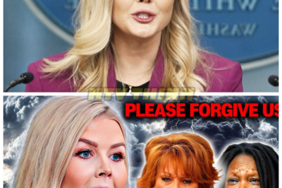 Karoline Leavitt FILES ANOTHER Lawsuit Against ‘The View’ – Hosts Are in FULL PANIC MODE!