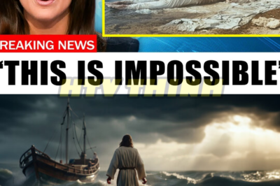 The Dead Sea Finally Fulfilled Biblical Prophecy And Christians Are Stunned