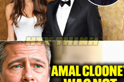 Brad Pitt Reveals The REAL REASON About George Clooney’s Divorce