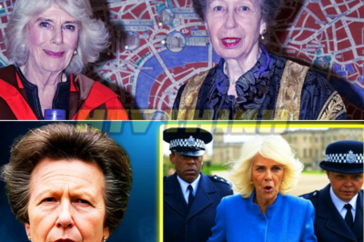 Royal Princess Anne FINALLY Takes LEGAL Action Against Camilla!