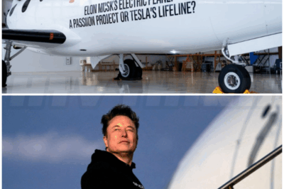 ♌ – Tesla’s Electric Plane