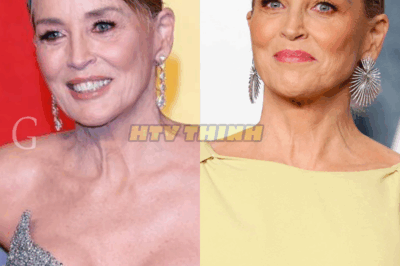 Sharon Stone Is 67, Try Not to Gasp When You See Her Today