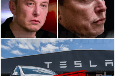 ♌ – Elon Musk