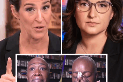 Rachel Maddow cursed her boss Rebecca Kutler on air… Rebecca Kutler responded harshly right after that “Do this if you want to leave like Joy Reid”