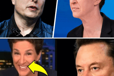 Maddow CRACKS UP After Revealing SECRET MUSK RECORDING