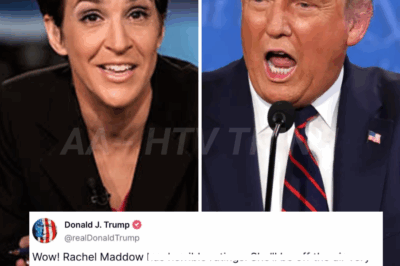Trump blasts Rachel Maddow and cable news networks: ‘MSNBC IS CLOSE TO DEATH’