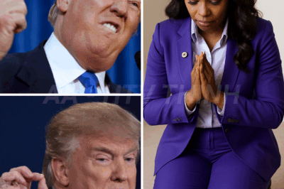 BREAKING: Jasmine Crockett challenges Donald Trump to take an IQ test, and Trump’s response causes Jasmine Crockett to immediately kneel down and apologize.