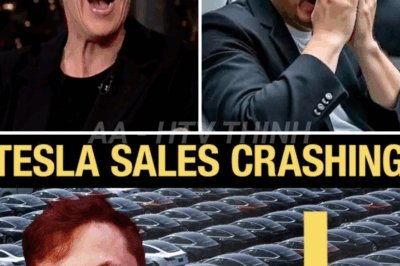 Rachel Maddow declares US should not do business with Elon Musk’s companies… “Look at him now, pathetic slob worth hundreds of millions of dollars”