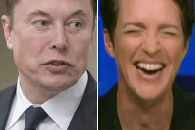 “Look at him now, pathetic slob worth hundreds of millions of dollars”…. Rachel Maddow mocks Elon Musk
