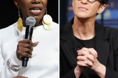 MSNBC’s Rachel Maddow rips own network’s bosses live on air blasting ‘indefensible’ changes after Joy Reid’s show axed