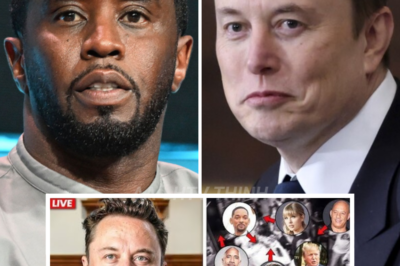 The Entire World Was Thrown Into Chaos When Elon Musk Released The Uncensored List And Pictures Of All The Stars Involved With …