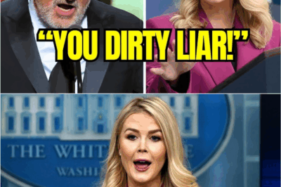 “Robert De Niro’s Meltdown on National TV Backfires Spectacularly as Gen Z Firebrand Karoline Leavitt Dismantles Him in Real Time”