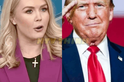 White House Press Secretary STUNS Reporters With WARNING to Those Who ‘Lie’ About Trump & Refuse To Use ‘Gulf of America’