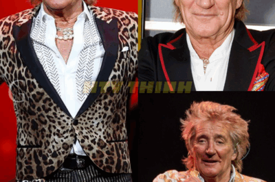 Rod Stewart Is Now Almost 80 How He Lives Is Sad