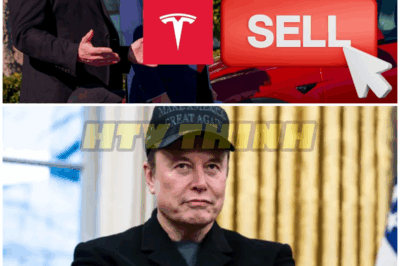 Tesla earnings could BANKRUPT Elon Musk – HTT