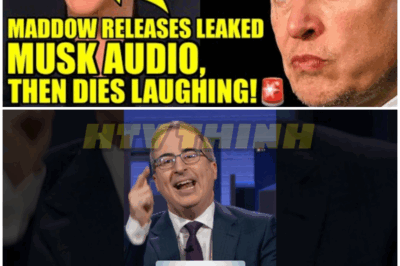 Maddow CRACKS UP After Revealing SECRET ELON MUSK RECORDING – HTT