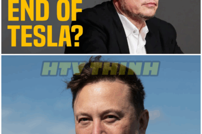 TESLA COLLAPSING: Net income down 71%, Elon Musk DESTROYED – HTT